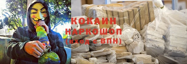 индика Алексеевка