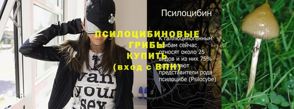 индика Алексеевка